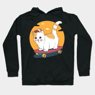 Cat Skating Hoodie